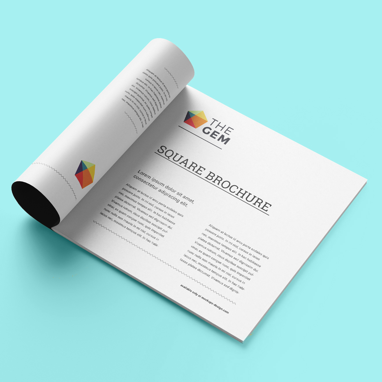 Demo Hizmet Başlığı 4